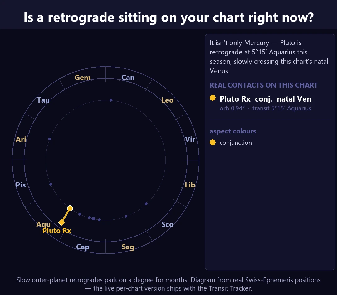 A zodiac bi-wheel diagram of the sample chart: retrograde Pluto at 5°15′ Aquarius sits within a degree (0.94° orb) of the chart's natal Venus — a slow retrograde parked on a birth placement.